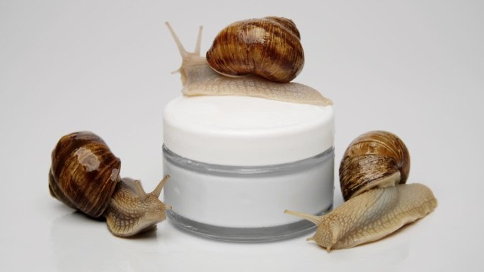 三只蜗牛在一罐化妆霜上。爬到罐子上，靠近。