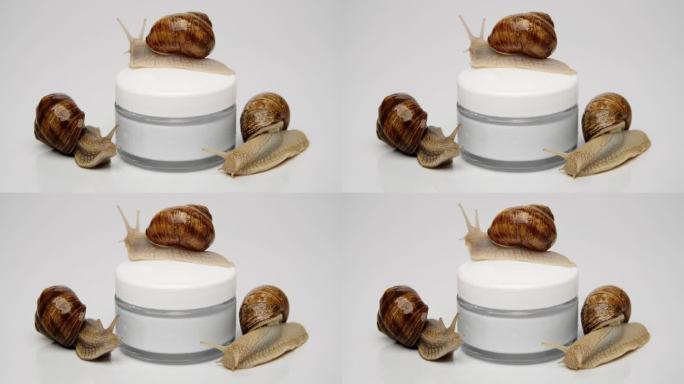 三只蜗牛在一罐化妆霜上。爬到罐子上，靠近。