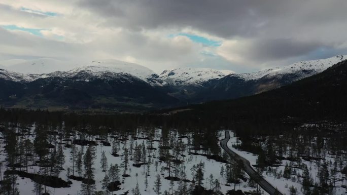 空中无人机视图:飞越挪威冬季森林