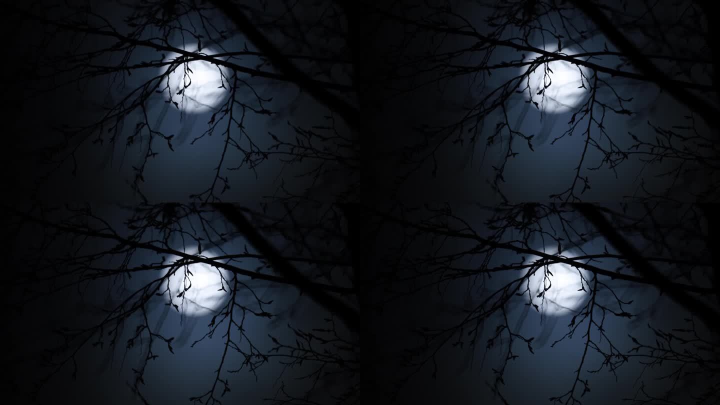 背景为失焦满月的角树树枝，德国汉堡，2023年，水平格式，近距离拍摄