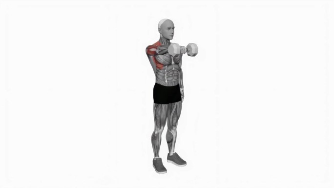 哑铃单臂前举健身运动锻炼动画男性肌肉突出演示4K分辨率60 fps