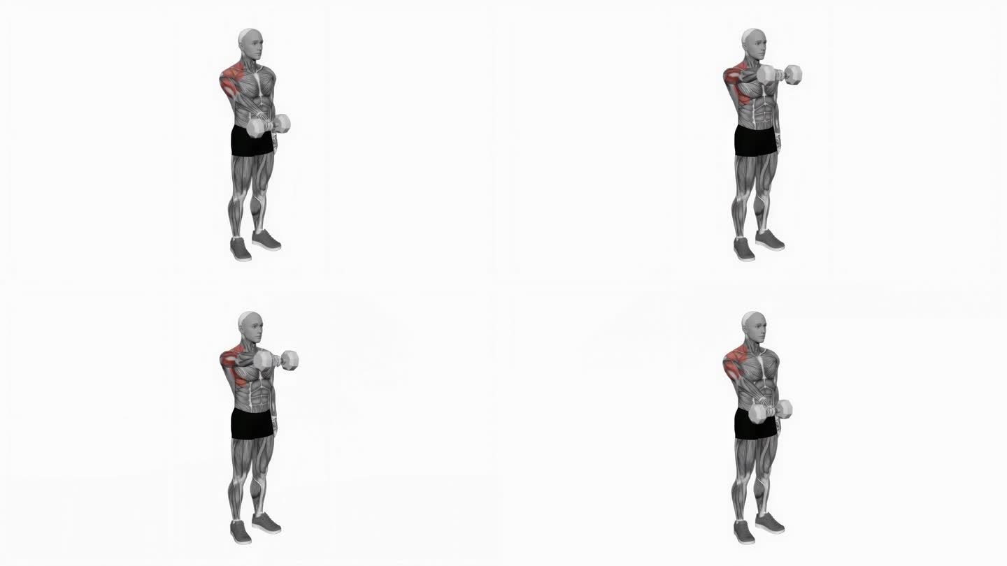 哑铃单臂前举健身运动锻炼动画男性肌肉突出演示4K分辨率60 fps