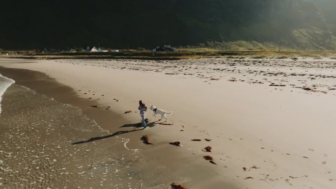 无忧无虑的概念。小女孩和白狗在厄斯峡湾沙滩上奔跑的360度全景