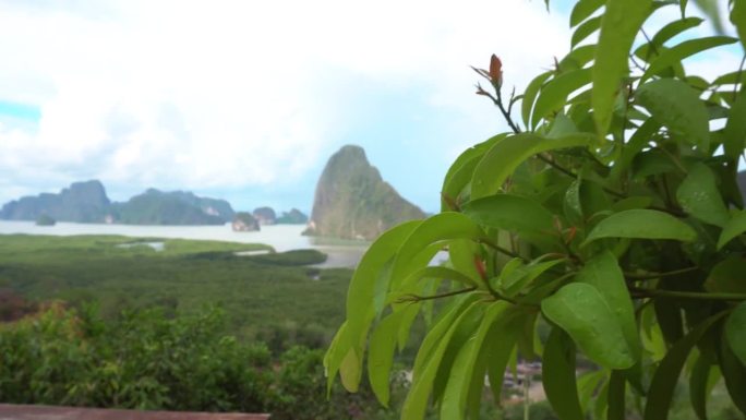 攀牙湾。许多钙质岛屿。天堂