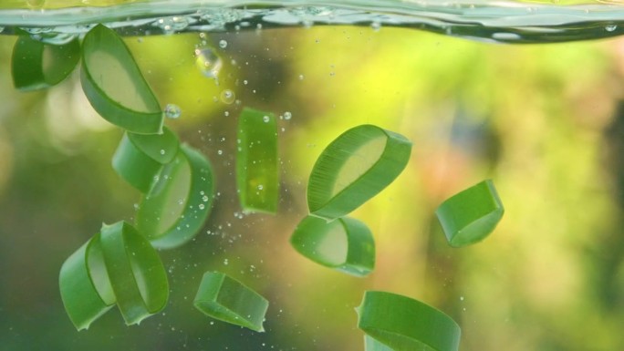 绿色芦荟植物叶片落在水中