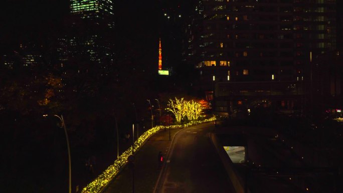 圣诞灯饰在六本木的东京中城与东京塔