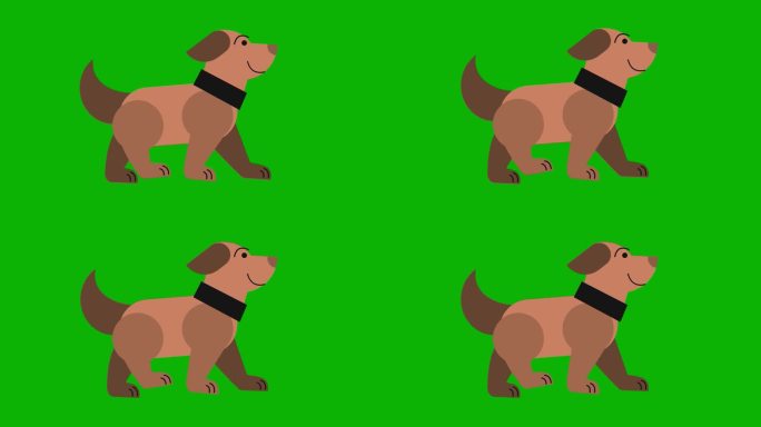 狗在绿幕上奔跑卡通动画。4K(色度键)。