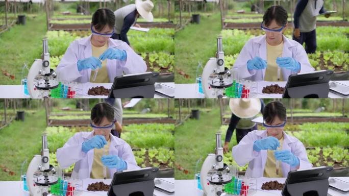 土壤测试。一位女性植物学家在有机蔬菜农场对土壤样本进行测试。
