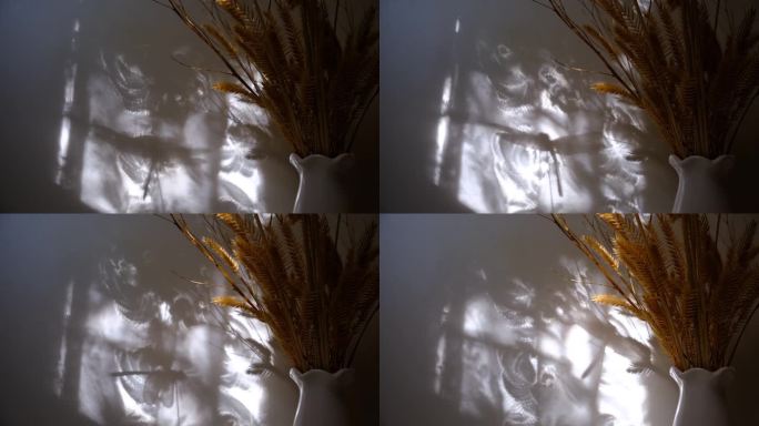 花瓶与干花和蜻蜓的影子在背景投下阴影。简约现代的室内装饰理念。秋天侘寂风格美学