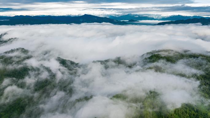 大气青山绿水间云雾流动自然风景延时