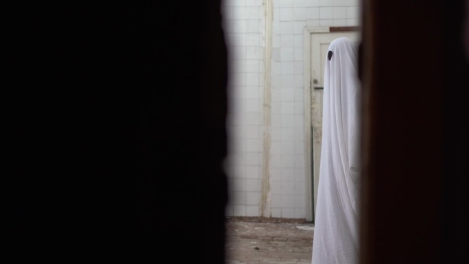 白衣鬼走在一座废弃的房子里，透过门看着摄像头
