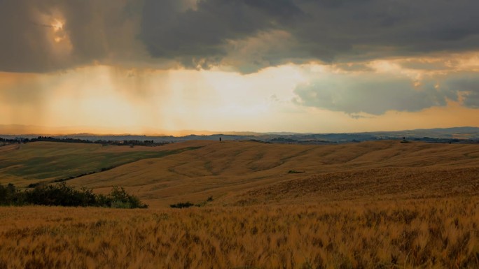 托斯卡纳，时间流逝的云在宁静的金色麦田上移动