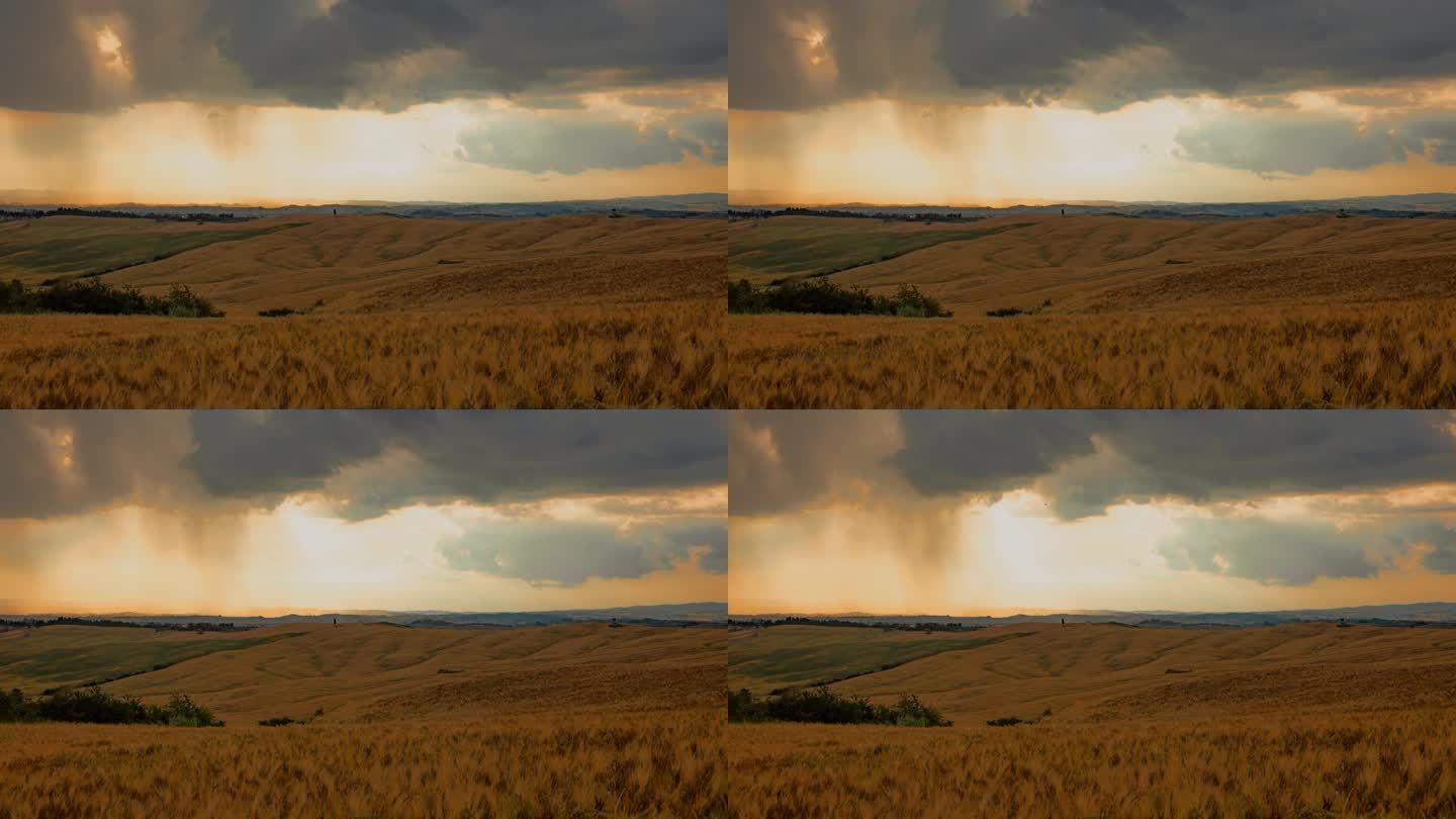 托斯卡纳，时间流逝的云在宁静的金色麦田上移动