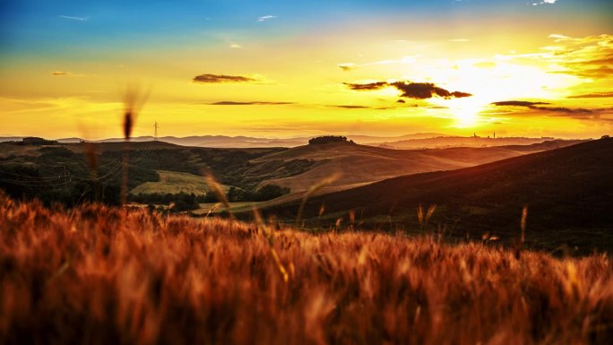 时间流逝田园诗般的，金色的麦田在起伏的景观在日出