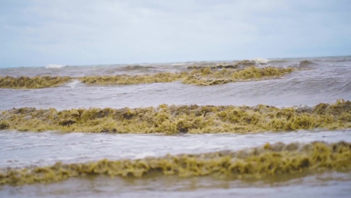 海滩上波涛汹涌，海水浑浊。