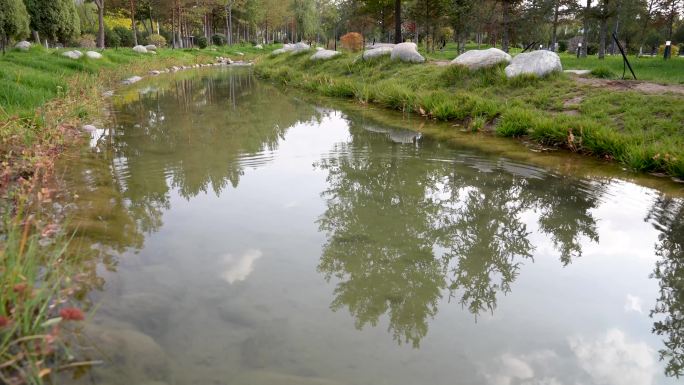 小溪溪流 水流 景点 水