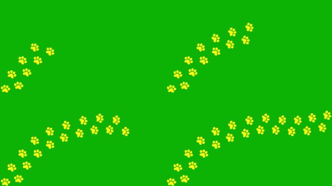 动画猫黄色的轨道。猫的爪印依次排成一排。毛圈的视频。矢量平面插图隔离在绿色背景上。