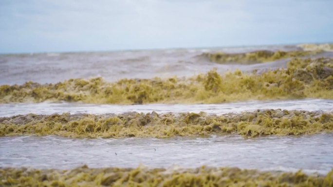 海滩上波涛汹涌，海水浑浊。