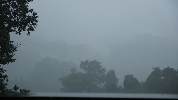 雾气蒙蒙的日子里，雨淋在绿意盎然的山林之上