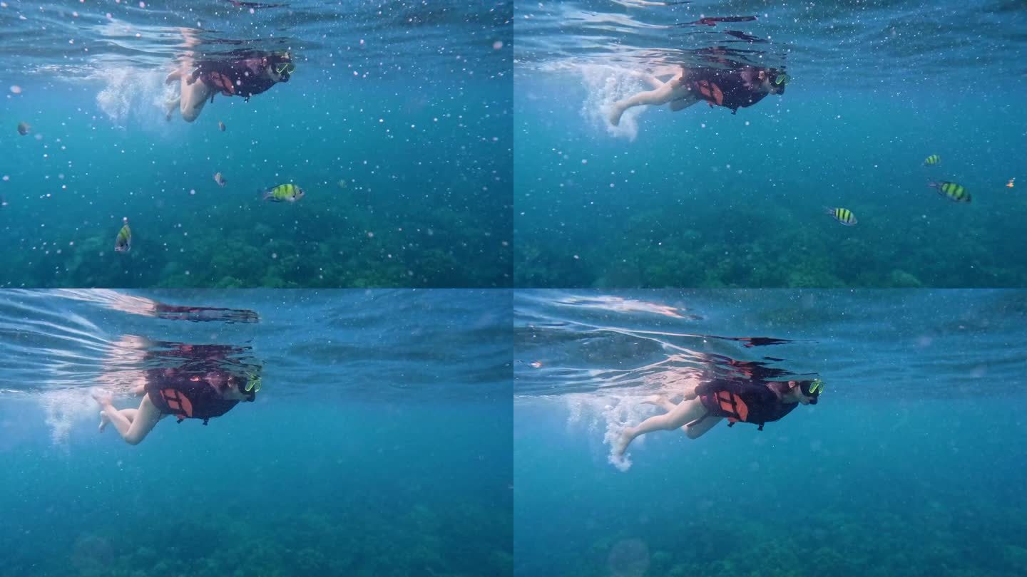 女子浮潜的水下水面剖面图