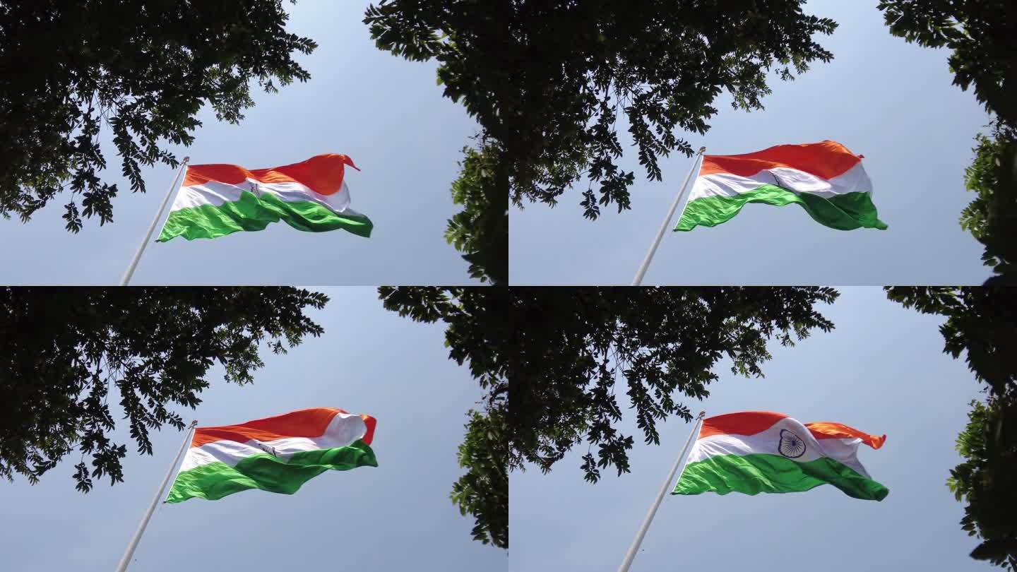 从树丛中隐约可见的印度国旗