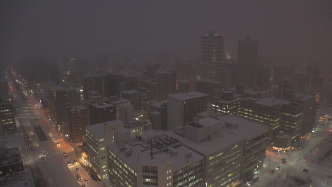 日本，北海道，札幌:鸟瞰札幌市的夜景。