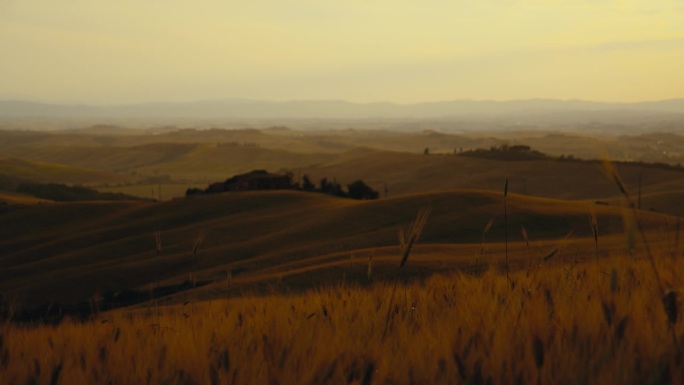 托斯卡纳，轮廓分明的小麦作物和宁静起伏的丘陵