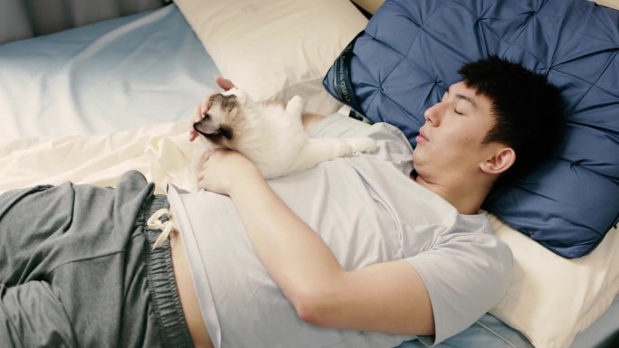 一个孤独的男人养了一只布拉多猫，享受着家里的生活——人与动物和谐共处，健康的生活方式