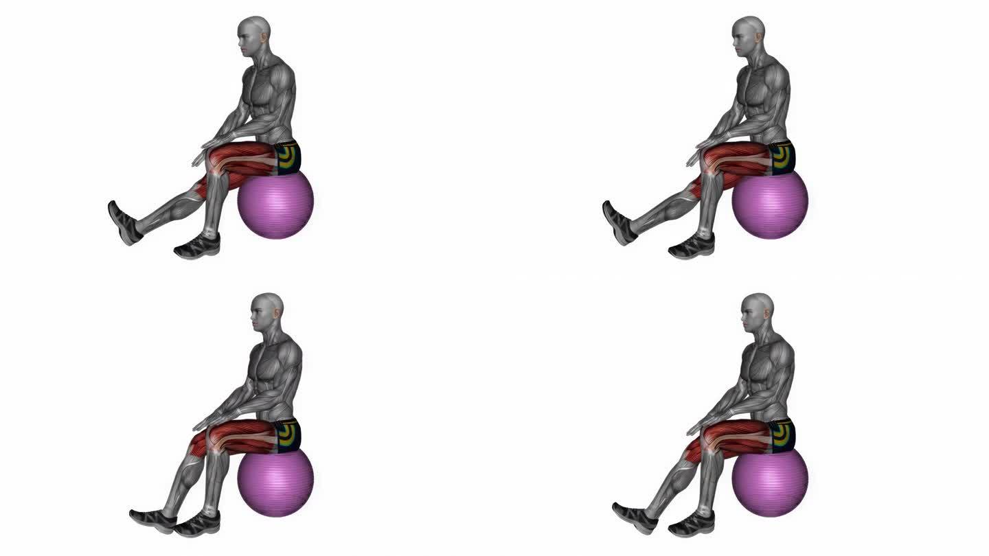 运动球坐姿腿筋拉伸健身运动锻炼动画男性肌肉突出演示4K分辨率60 fps