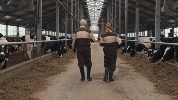 牛棚里两个面目全非的穿制服的农民