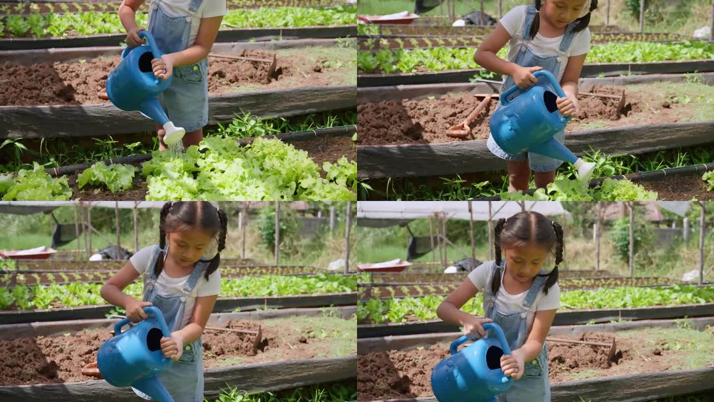 女孩用喷壶给菜畦浇水。手持拍摄的