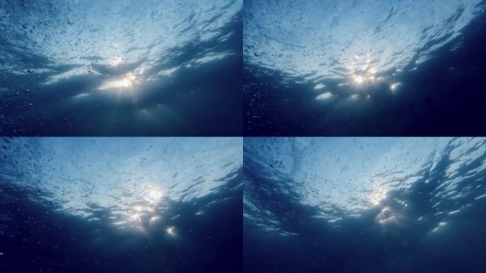 从海底看透过水面的阳光。上升的气泡在光中闪闪发光。