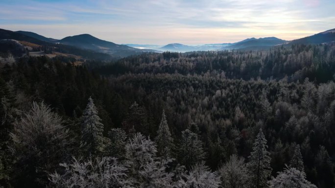 冬季森林自然白雪覆盖的冬季树木高山景观清晨日出假日旅游霜冻的树顶鲜艳的色彩空中4k