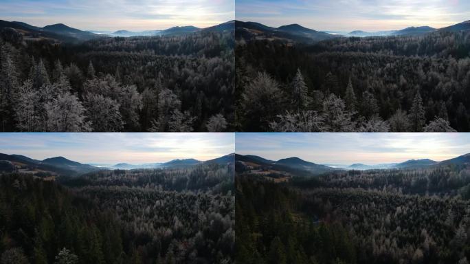 冬季森林自然白雪覆盖的冬季树木高山景观清晨日出假日旅游霜冻的树顶鲜艳的色彩空中4k