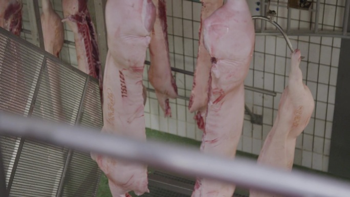 猪的尸体从屠宰场的下层搬到上层。