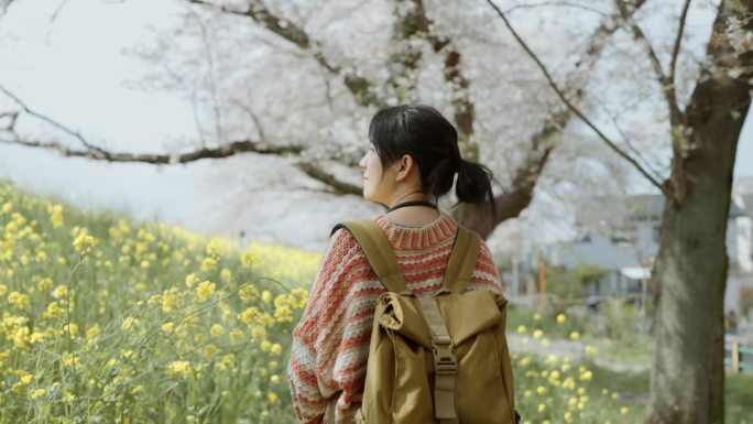 年轻的亚洲妇女参观的地方享受自然和观赏樱花。