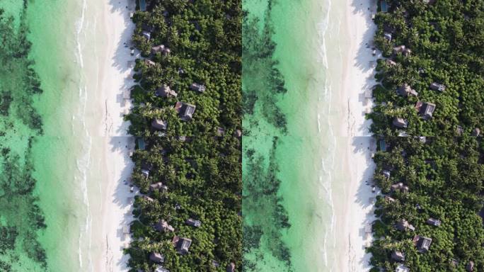 在墨西哥图卢姆，海水清澈的白色沙滩上，俯瞰着棕榈树环绕的小木屋和小屋