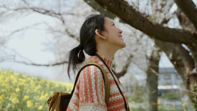 一个可爱的微笑的亚洲女孩独自走在樱花的背景。在假期里感到放松和精神焕发。