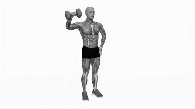 哑铃直立肩部外旋健身运动锻炼动画男性肌肉突出演示4K分辨率60 fps