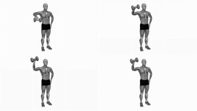 哑铃直立肩部外旋健身运动锻炼动画男性肌肉突出演示4K分辨率60 fps