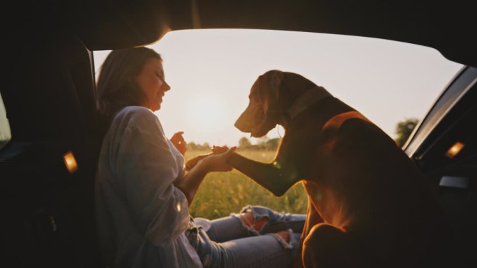 度假的女人在车里和棕色宠物狗握手
