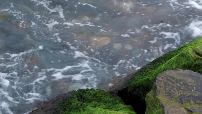 海中浊水在浅水，浪中发现石头上有绿苔的水藻