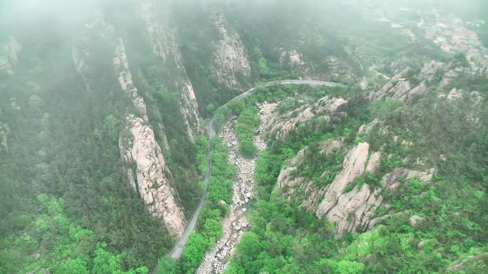 北九水山4k森林大自然流水风景树林山水