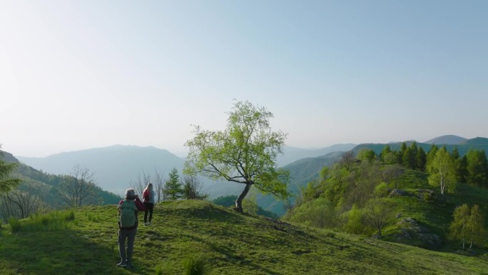 老年夫妇在生机勃勃的绿色山坡上徒步旅行的鸟瞰图