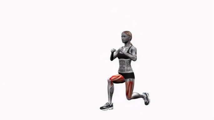 弓步到膝盖驱动左体重健身运动锻炼动画女性肌肉突出演示4K分辨率60 fps
