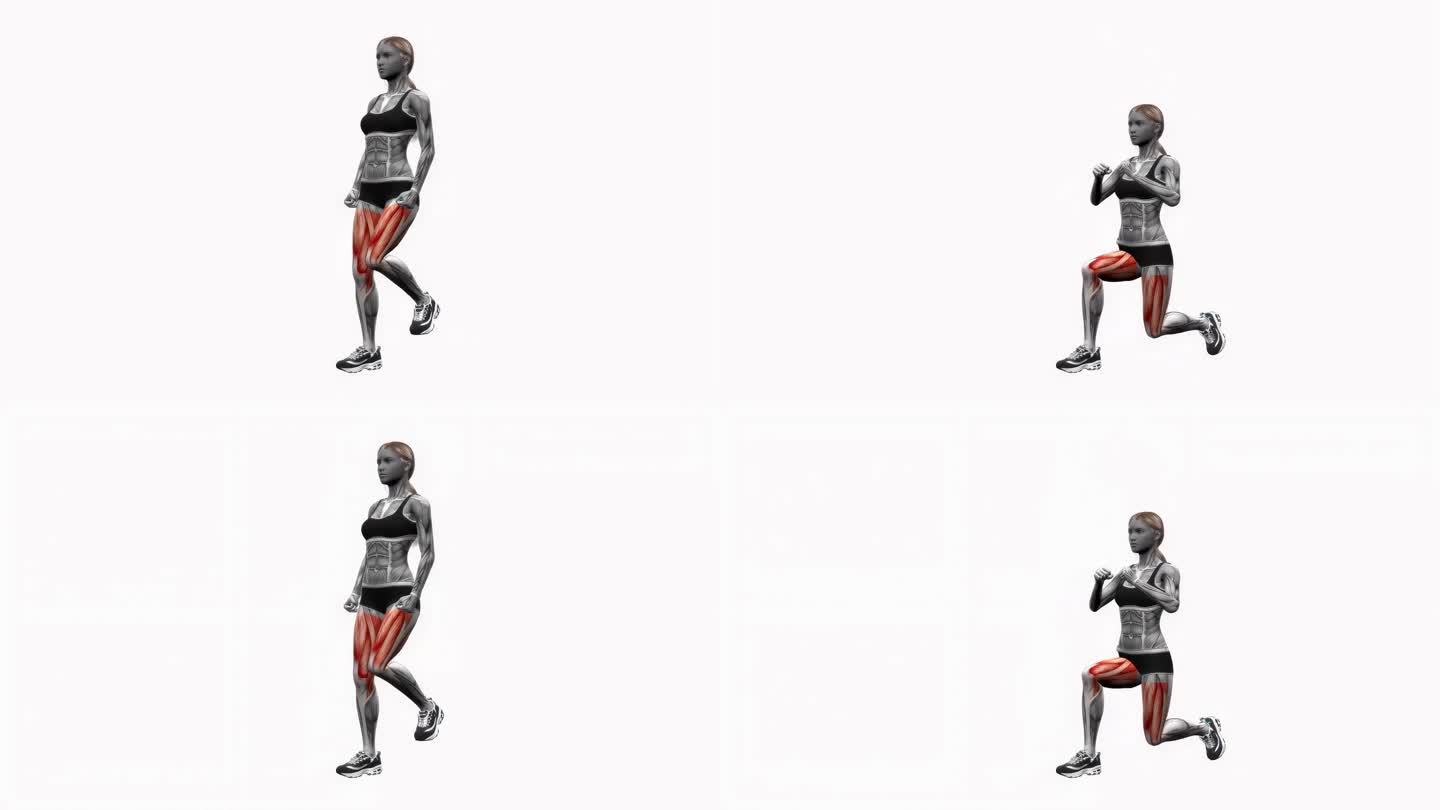 弓步到膝盖驱动左体重健身运动锻炼动画女性肌肉突出演示4K分辨率60 fps