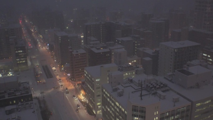 日本，北海道，札幌:鸟瞰札幌市的夜景。