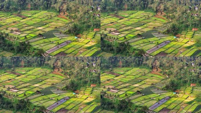 近距离无人机拍摄的稻田梯田日落场景，前景，巴厘岛，印度尼西亚。