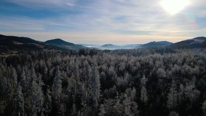 冬季森林自然白雪覆盖的冬季树木高山景观清晨日出假日旅游霜冻的树顶鲜艳的色彩空中4k