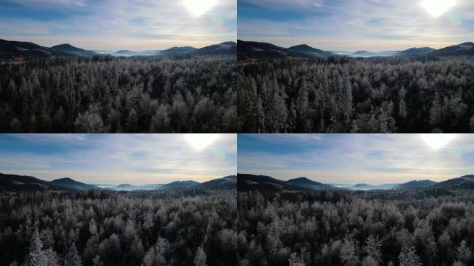 冬季森林自然白雪覆盖的冬季树木高山景观清晨日出假日旅游霜冻的树顶鲜艳的色彩空中4k